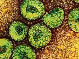 Koronavirüs ABD'de mi geliştirildi?