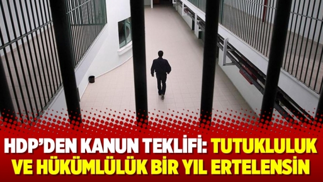 HDP’den kanun teklifi: Tutukluluk ve hükümlülük bir yıl ertelensin
