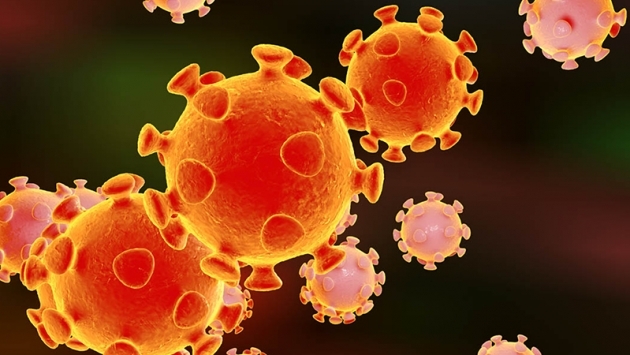 Brezilyalı bilim insanları Koronavirüs'ün fotoğrafını çekti