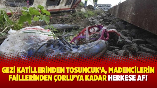 Gezi katillerinden Tosuncuk’a, madencilerin faillerinden Çorlu’ya kadar herkese af!