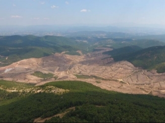 TEMA, Kaz Dağları raporunu yayınladı