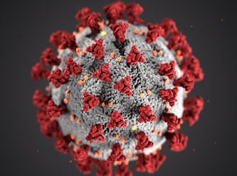 Koronavirüs bağışıklığı için düşündüren açıklama