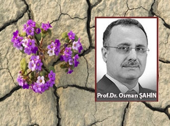 [Prof. Dr. Osman Şahin yazdı] Bireyin çiçek açması ve güvenememe problemi