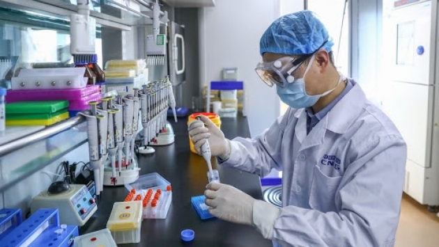 Çin şirketi Sinopharm'ın Peru'daki aşı denemeleri durduruldu