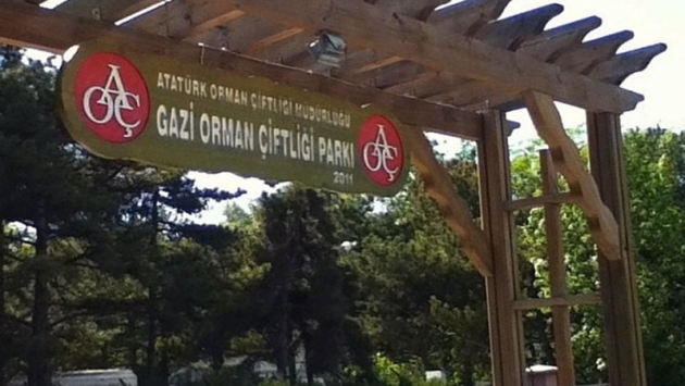 Atatürk Orman Çiftliği arazisi metrekaresi 5 TL'den kiraya çıkarıldı!