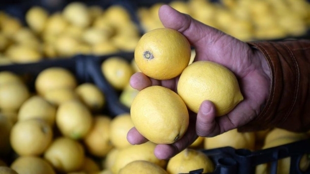 Avrupa Birliği, Türkiye’den gelen limonu ‘zehirli’ diye almadı