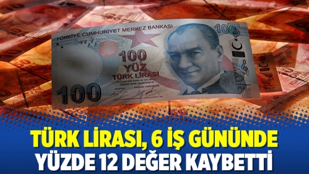 Türk lirası, 6 iş gününde yüzde 12 değer kaybetti