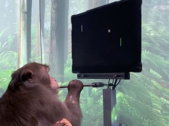 Musk'un beyne çip projesi görücüye çıktı: Video oyunu oynayan maymun