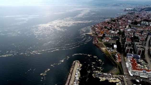 Marmara Denizi’ni etkisi altına alan ‘salya’ Mudanya sahilini de kapladı!