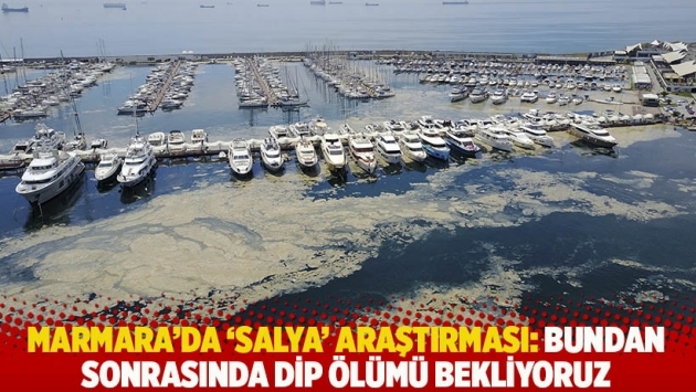 Marmara'da 'salya' araştırması: Bundan sonrasında dip ölümü bekliyoruz