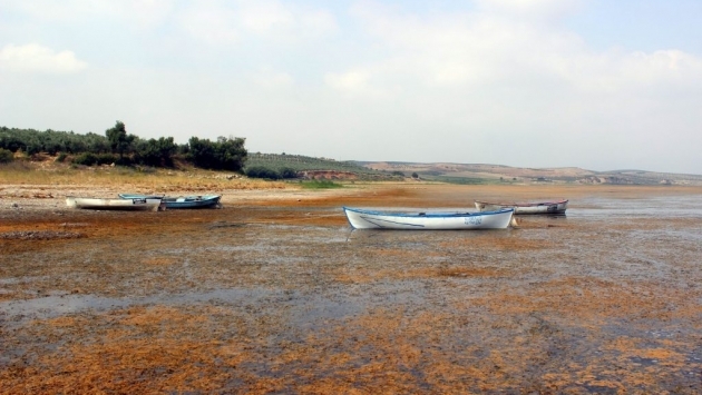 Marmara Gölü’nün kuruyan kısımları yakılarak DSİ’den habersiz kiralanmış