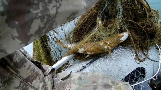 Kızılırmak'ta 'hayalet ağ' katliamı: 1 kilometre uzunluğunda ölüm tuzağı