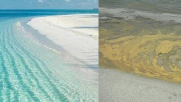AKP, ‘Türkiye’nin Maldivleri’ Salda Gölü’nü bu hale getirdi