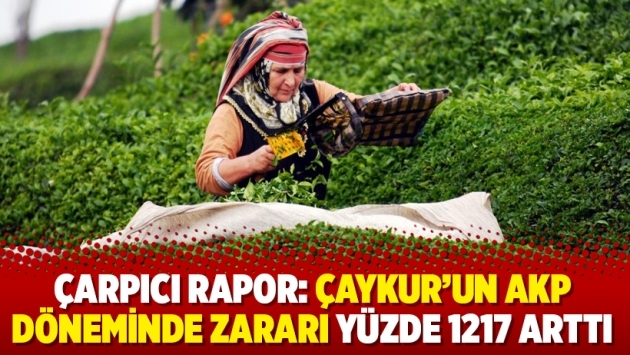 Çarpıcı rapor: Çaykur’un AKP döneminde zararı yüzde 1217 arttı