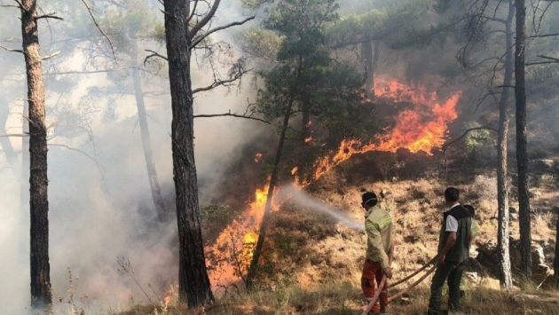 650 hektarlık alan zarar gördü: Aydıncık yangını, 50 saat sonra kontrol altına alındı