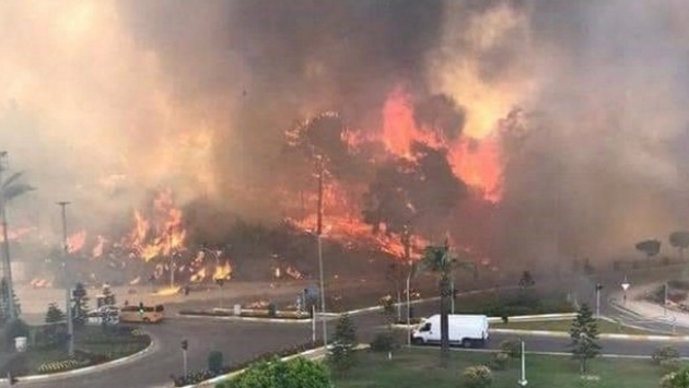 Manavgat'ta yangından iki gün önce ihale