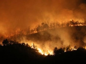 'Ormanlar drone ile yakıldı' iddiasına EGM'den yalanlama geldi
