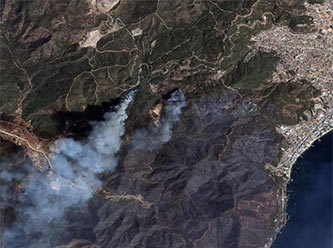 İşte Türkiye'yi saran yangınlarında yok olan orman miktarı