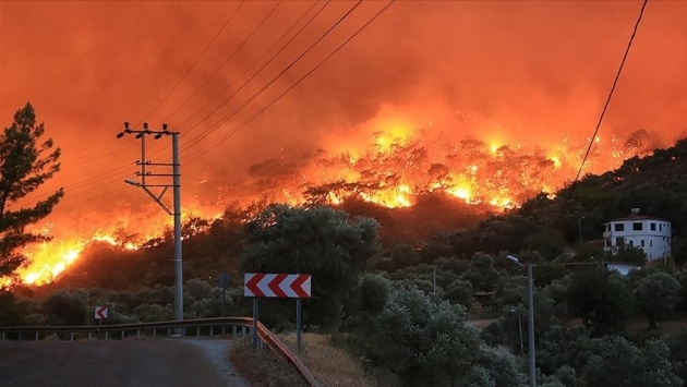 Bu yıl yanan orman alanı son 12 yılın ortalamasını 4’e katladı
