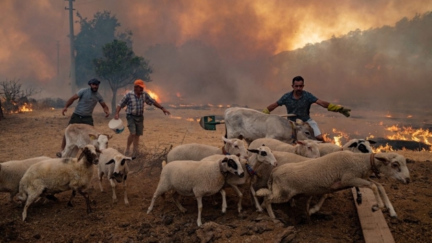 RTÜK orman yangınlarını haber yapan kanallara ceza yağdırdı