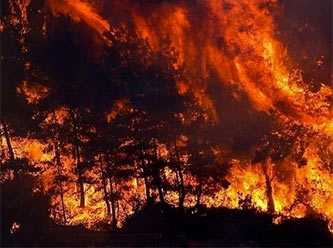 Fas ve Fransa'da orman yangınları devam ediyor
