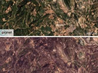 Greenpeace yanan ormanların korkunç uydu görüntülerini yayınladı