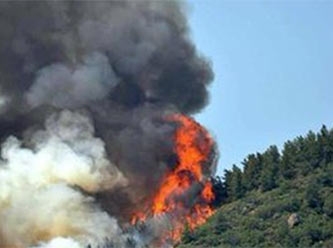 Tunceli’de 11 gündür yanan ormana neden havadan müdahale edilmiyor?