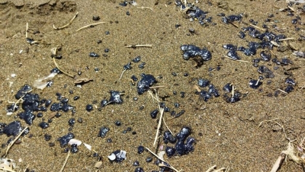Samandağ'da sahile petrol atığı vurdu, belediye uyardı: Denize girmeyin