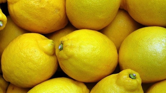 Rusya, Türk bir firmadan limon alımlarını durdurdu
