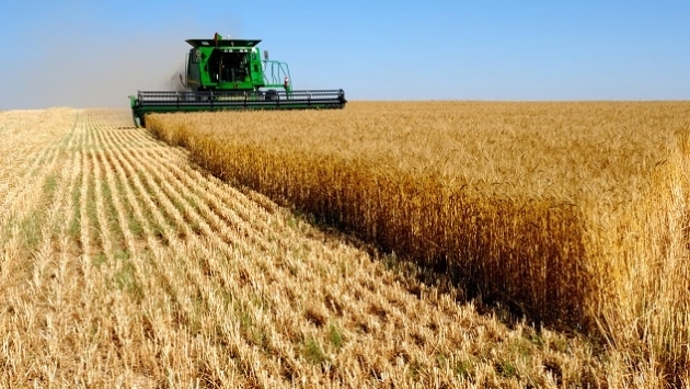 Türkiye buğday ithalatında Çin’i bile geride bıraktı