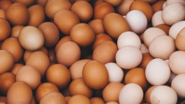 Üreticiler girdi maliyetlerindeki artışa dikkat çekti: Yumurtanın tanesi 2 TL olabilir