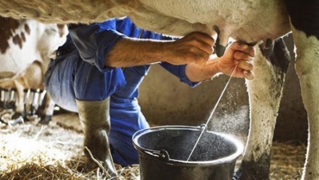 Çiğ süt referans fiyatı açıklandı; yüzde 47 zam
