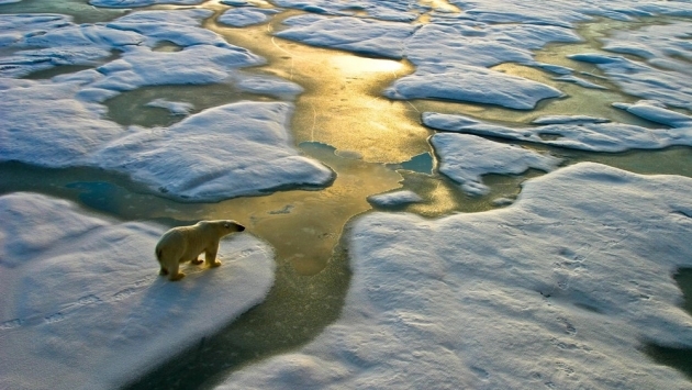 Kuzey Kutbu’nda sıcaklık rekor kırdı
