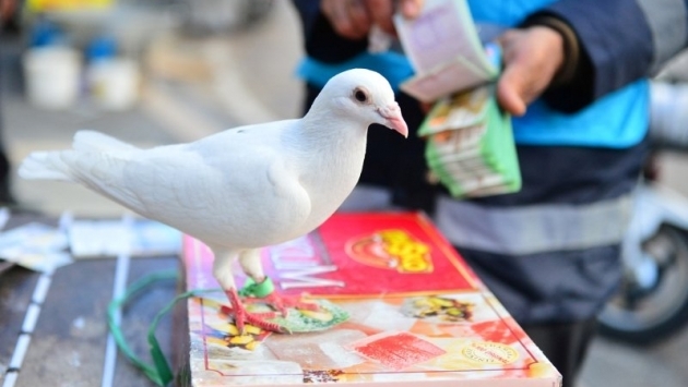 Milli Piyango vergisi: 'Talih kuşu rahmetli oldu'