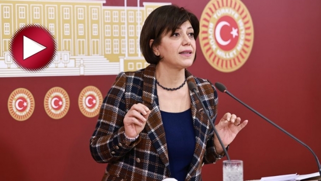 HDP’li Beştaş sokak müzisyenlerine destek için mecliste Kürtçe şarkı söyledi