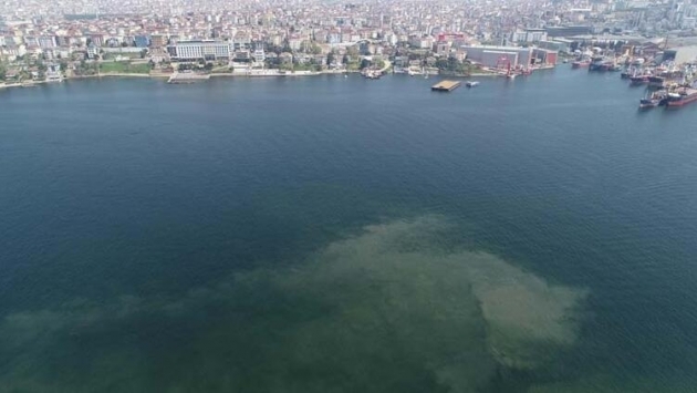 İstanbul'da müsilaj benzeri kirlilik görüldü 