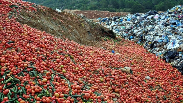 Antalya'da kilolarca sebze çöpe döküldü