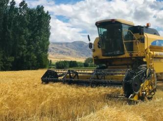 Rusya'nın Ukrayna'dan buğday çaldığı iddiaları güçleniyor