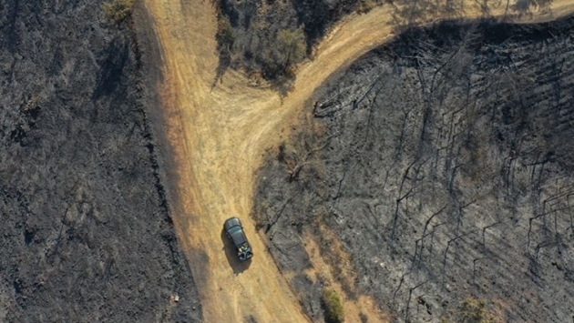 Marmaris'teki orman yangınıyla ilgili bir kişi gözaltına alındı