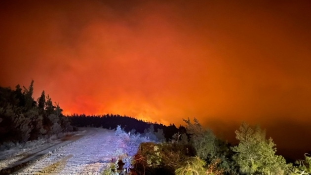 Orman yangınları önergesi AK Parti ve MHP'nin oylarıyla reddedildi