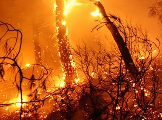 Yunanistan'da orman yangını evlere sıçradı