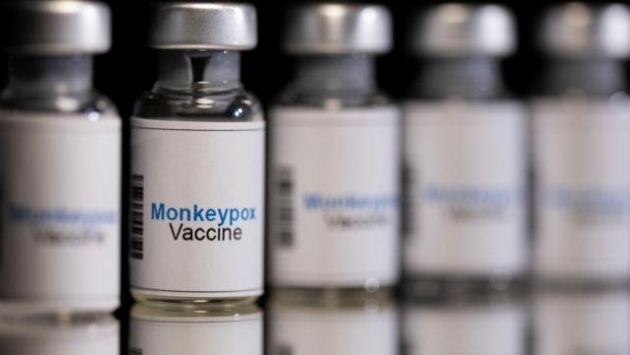 Avrupa Birliği'nden Maymun çiçeği aşısına onay