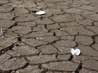 Hollanda hükümetinden kuraklığa karşı acil durum eylem planı