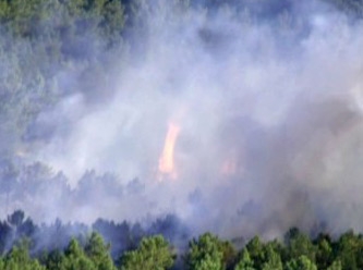 Fransa yanıyor, her dakika 10 futbol sahası orman yok oluyor