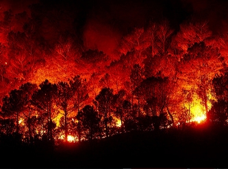 Fransa'daki dev orman yangını ile ilgili sevindiren gelişme