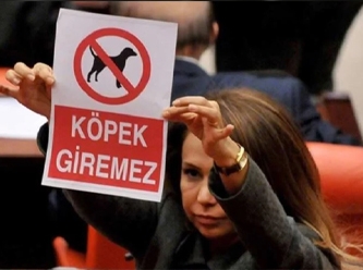 CHP'lilere 'köpek giremez' afişi göstermişti, Soylu'ya danışman oldu