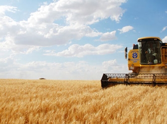 BM: Ukrayna'dan yarım milyon ton tahıl ihraç edildi