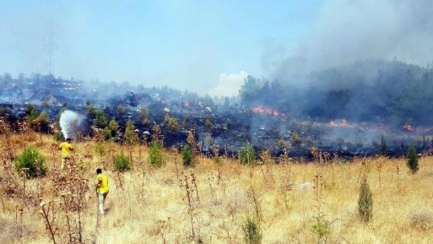 Manisa'da orman yangını: 5 dönüm alan zarar gördü