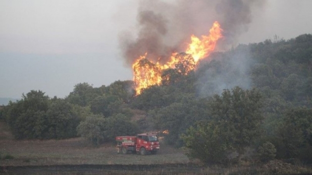 Manisa'nın Kula ilçesinde orman yangını çıktı