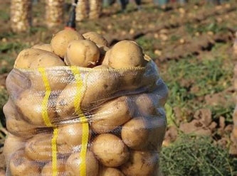 Çorum’da skandal: Koğuş arkadaşlarının ailesine patates veren çiftçi tutuklandı